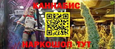 тгк Новокубанск