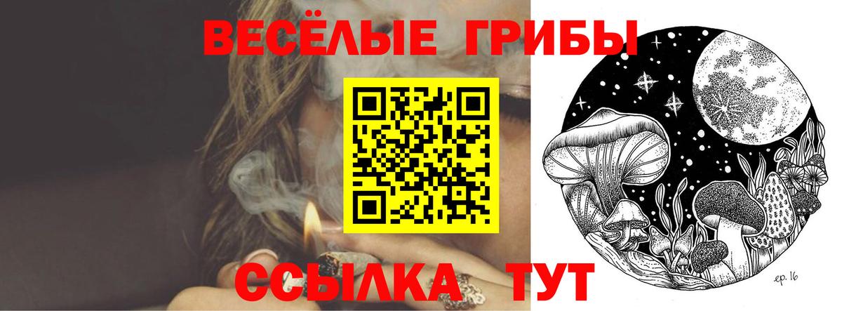Псилоцибиновые грибы мицелий Солнечногорск